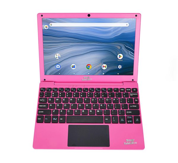 LAN PINK1